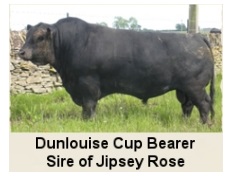 DunLouise Cup Bearer, Pure Scotch Angus Embryos (Native Origin Angus)