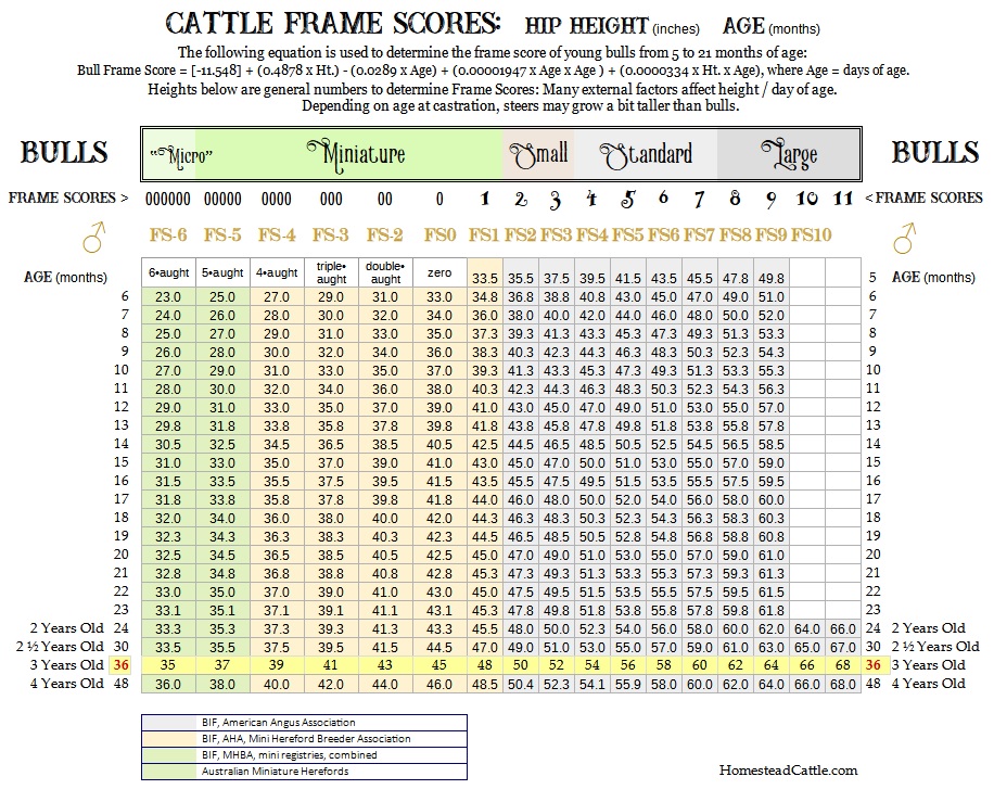 BULL FS Chart