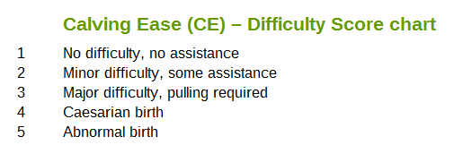 Calving Ease Score Chart (CE)