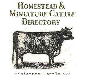 Homestead & Miniature Cattle Directory